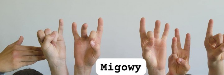 Dzień języka migowego